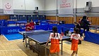 Masa Tenisi Minik Kız Takımımız İstanbul İkincisi Oldu