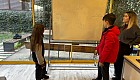 5. Sınıf Öğrencilerimiz Matematik Evi’ni Keşfetti!